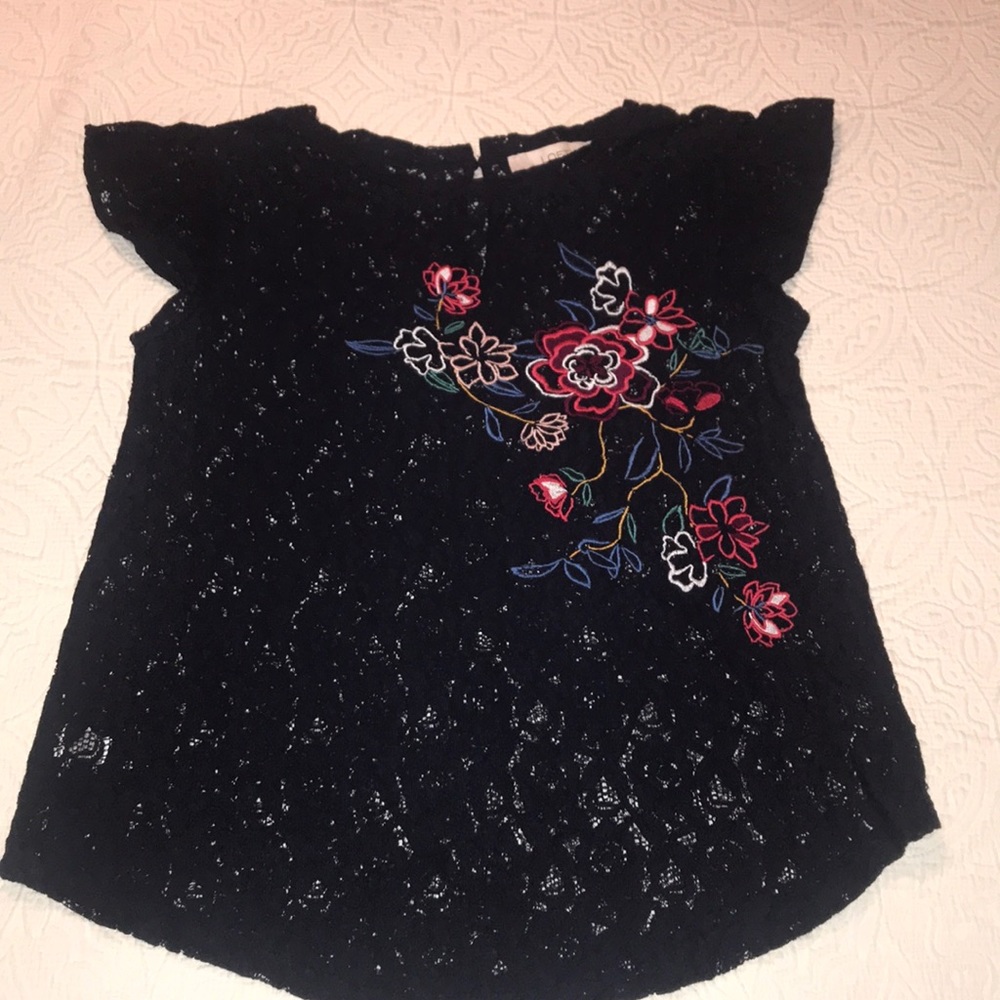Embroidered Lace Flutter Sleeved Top
